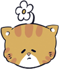 猫咪表情6